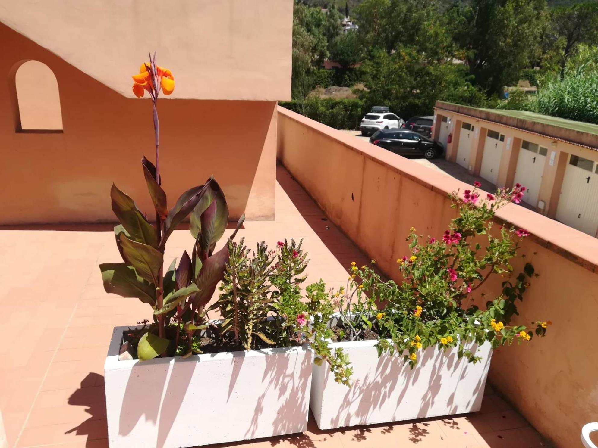 Elbamare Residence Con Piscina Nisporto Dış mekan fotoğraf